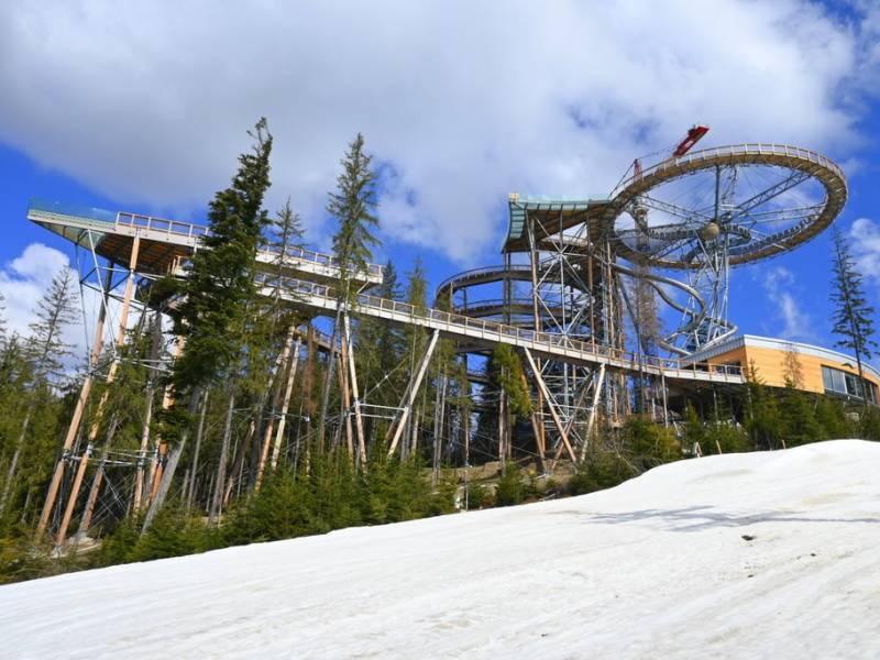 Sky Walk Poronin Ścieżka w koronach drzew z widokiem na Tatry